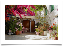 Kefallonia Bougainvillea - Helen Kulczycki